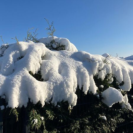 Apartmán Ferien Am Hofe Hainewalde Exteriér fotografie